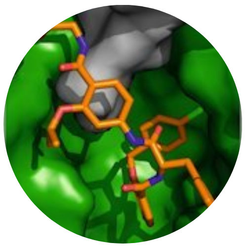 Wilson Research Group