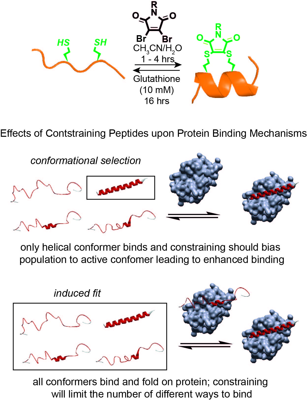 ppis-section-figure-3-a